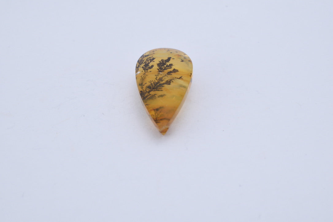 Dendriet