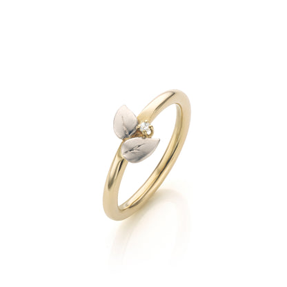 Leaves and diamonds