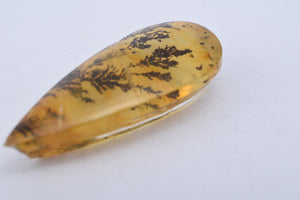 Dendriet