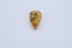 Dendriet